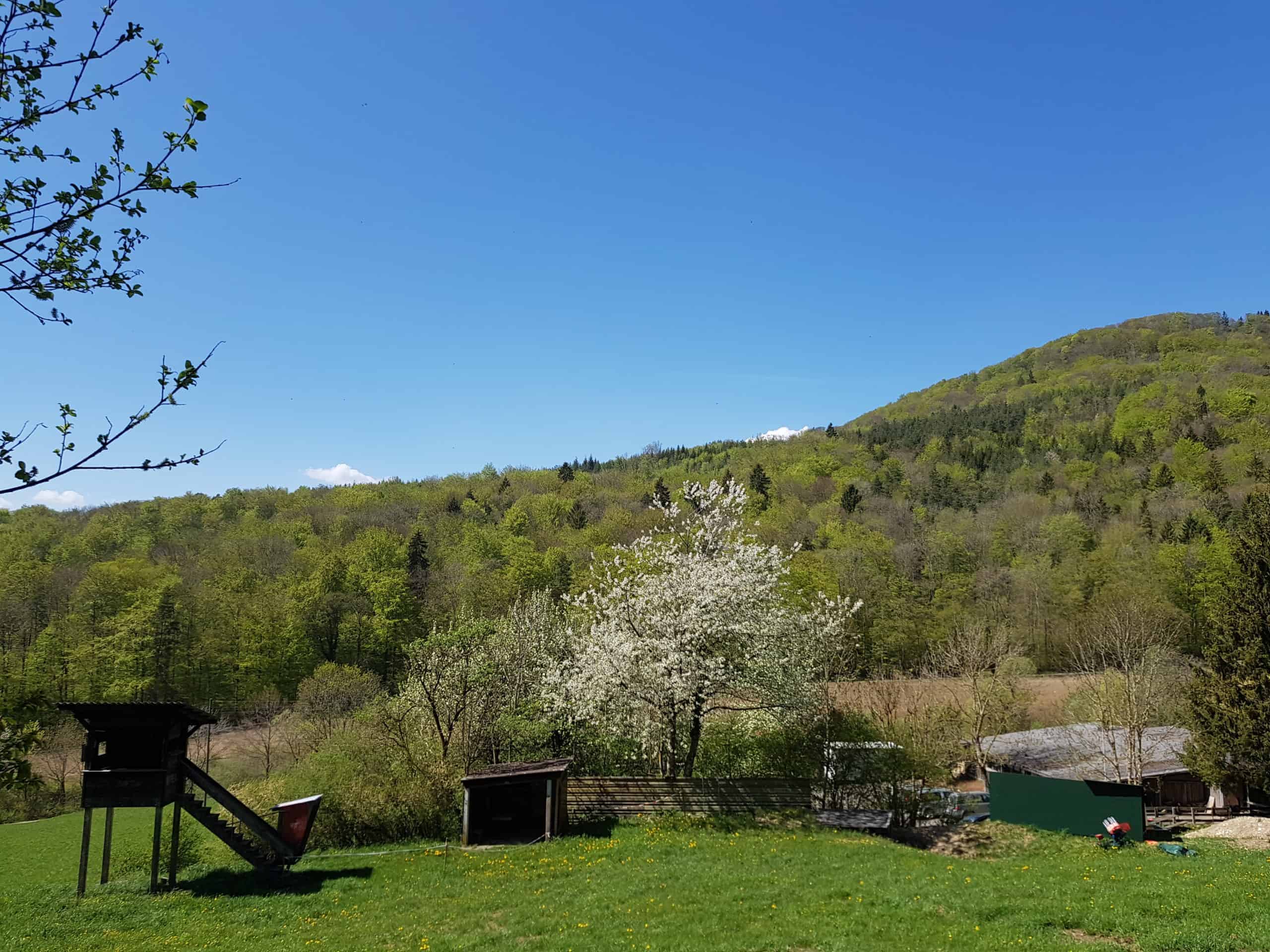 Featured image for “Mitgliederbeiträge JSKS steuerlich abzugsfähig”